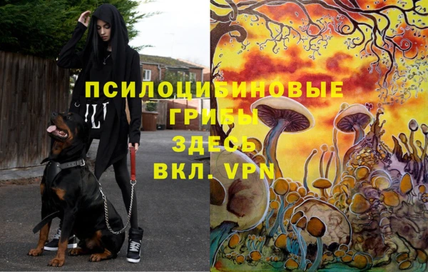 МДПВ Покачи