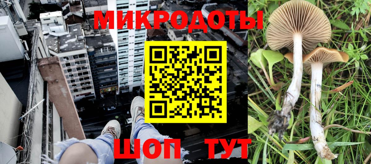 ГАШИШ Кохма