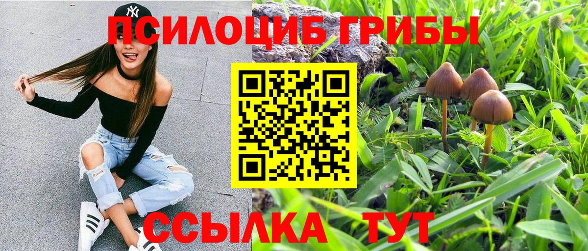 Галлюциногенные грибы прущие грибы  Кохма 